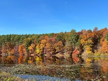 Workday Grounding Meditation