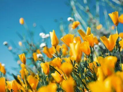 Workday Meditation – Feeling Unheard Or Overlooked