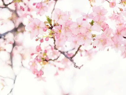 Workday Meditation – Releasing Thoughts Of Work