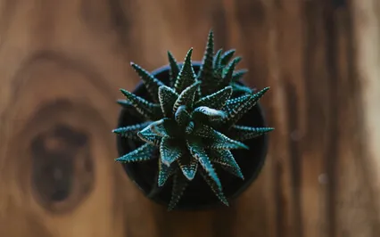 Workday Meditation – When You Keep Replaying An Exchange