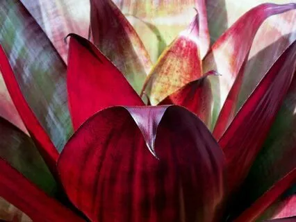 Workday Meditation – Wishing You Hadn't Said Something