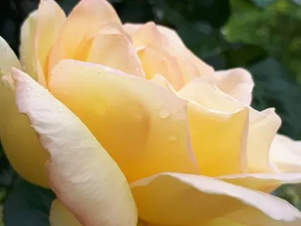 Workday Quick Break - Relax & Reset For Focus