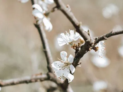 Workday Recharge: Midday Reset for Clarity & Motivation