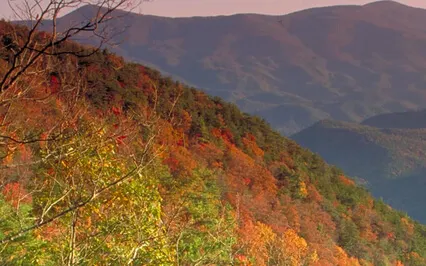 Working From Preferences, Not Attachments