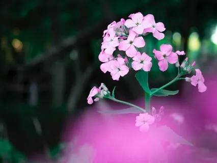 Working Though Endings And Closures