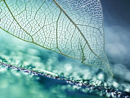 Working Through Anxiety 