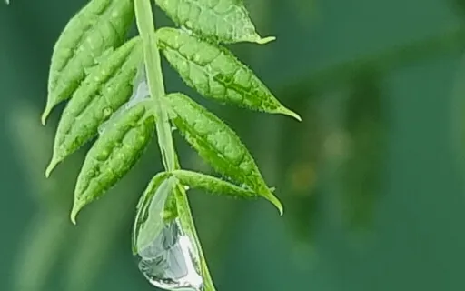 Working Through Barriers To Self-Care