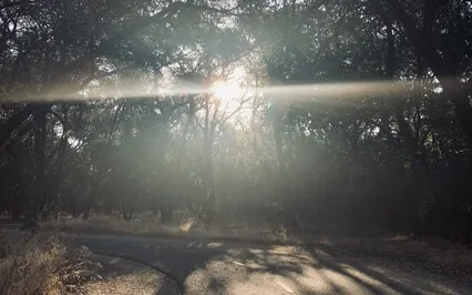 Working Through Change