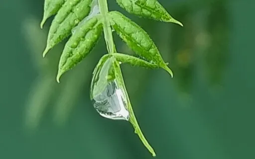 Working Through Difficult Or Tangled Times