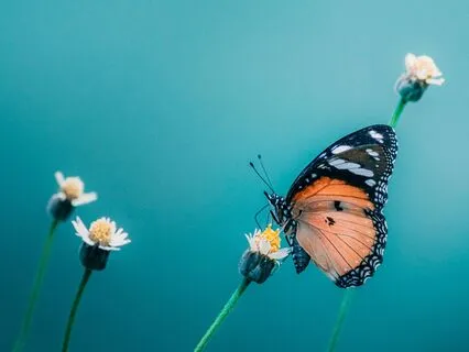 Working Through Resentment