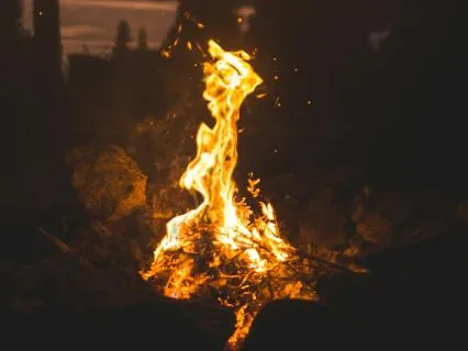 Working Wisely With Feeling Furious: Honoring The Wild Heart