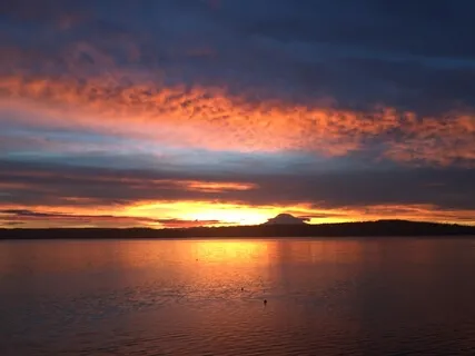 Working With Agitation 