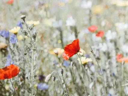 Working With Anxiety