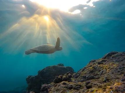 Working With Challenging, Difficult, Or Intrusive Thoughts