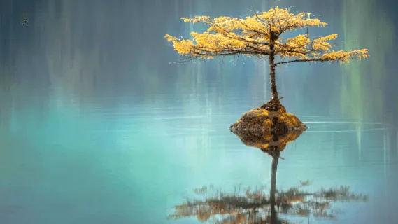 Working With Difficult Emotions - 5 Min Daily Insight