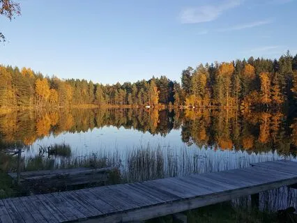 Working With Directed And Undirected Attention