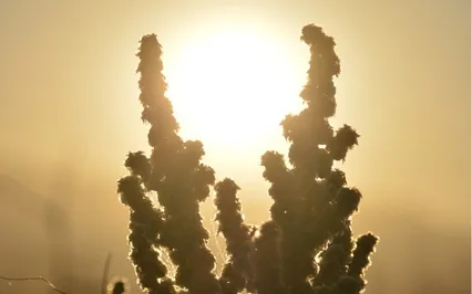 Working With Energy - Part Two