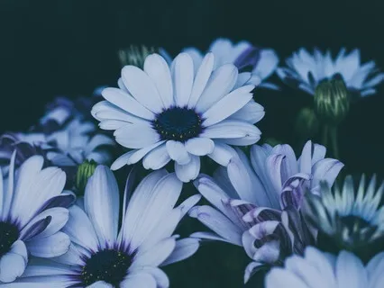 Working With Loneliness