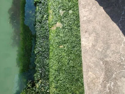 Working With Moon Magic- Understanding The Planets