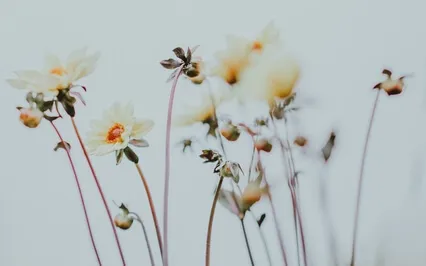 Working With Negative Thinking