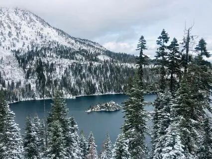 Working With Our Nervous System