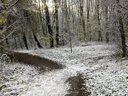 Working With Our Thoughts