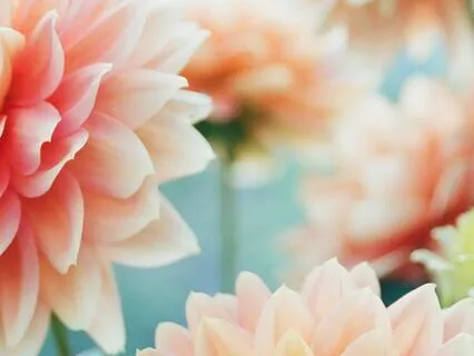 Working With Pain (Trauma-Informed)