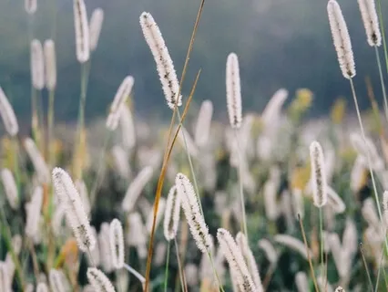 Working With Painful Experiences In Meditation