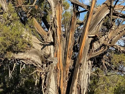 Working With Strong Emotions