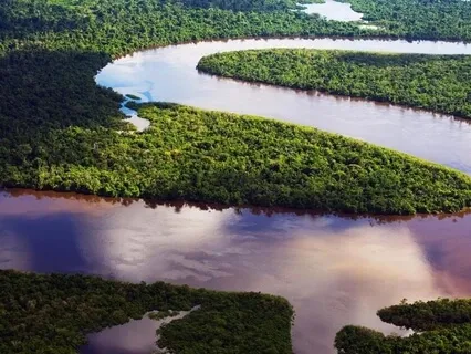 Working with Thoughts Mindfully