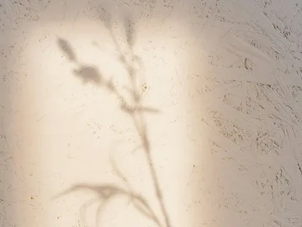 Working With Your Spirit Guide - Option 1