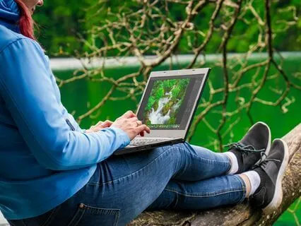 Workplace Harmony: Shamanic Peace