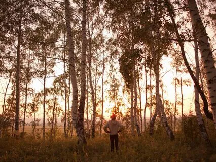 Workplace Harmony: Shamanic Productivity Sounds