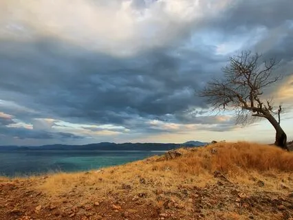 Workplace Peace: Music For Stress Relief