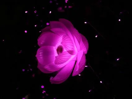 Workplace Wellness: Mindful Productivity Habits