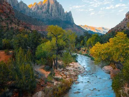 Workplace Wellness: Mindful Productivity