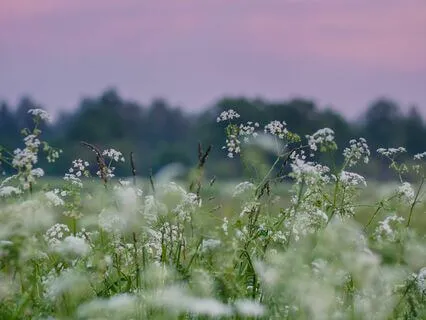 World Peace Loving Kindness Meditation