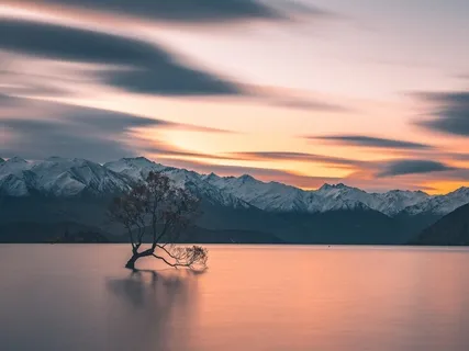 World Peace Transmission: Neutralising The Dark & Amplifying The Light