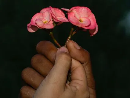 World Peace Yoga Nidra