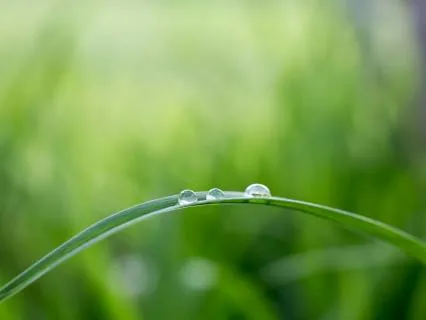 Worry No More - Gentle Cello And Flute Music
