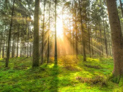 Worry - Reflective Meditation