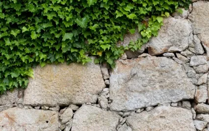 Worry Wall. A Guided Meditation For Releasing Worry