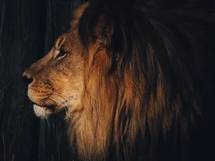 Worth: Creating Honour