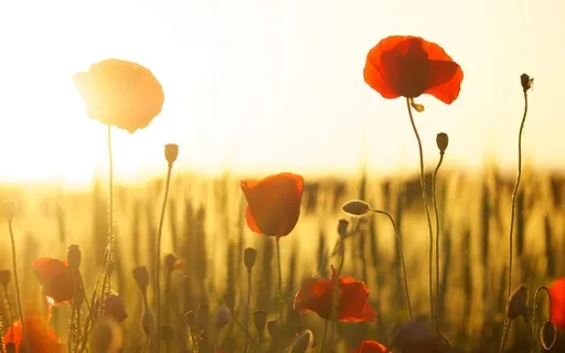 Worthiness Affirmations