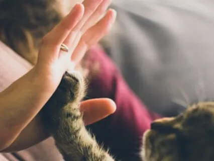 Worthiness Loving Kindness Practice