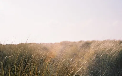 Worthiness Meditation