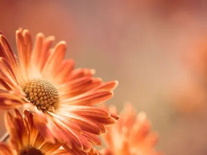 Worthy and Whole: A Journey to Self-Love 285 Hz