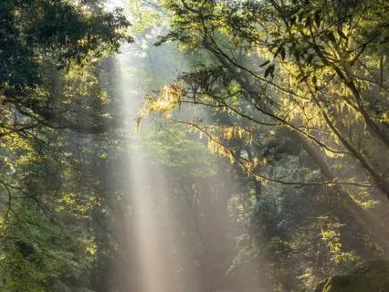 Worthy To Receive:  Manifesting With Ease