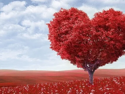 Would You Be The Bell That Tolls