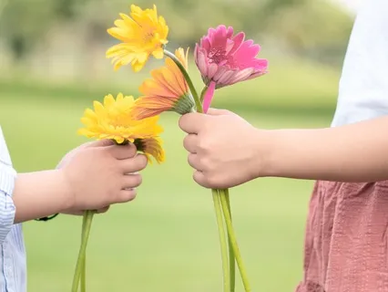 WOW 33/50: Kindness Everywhere